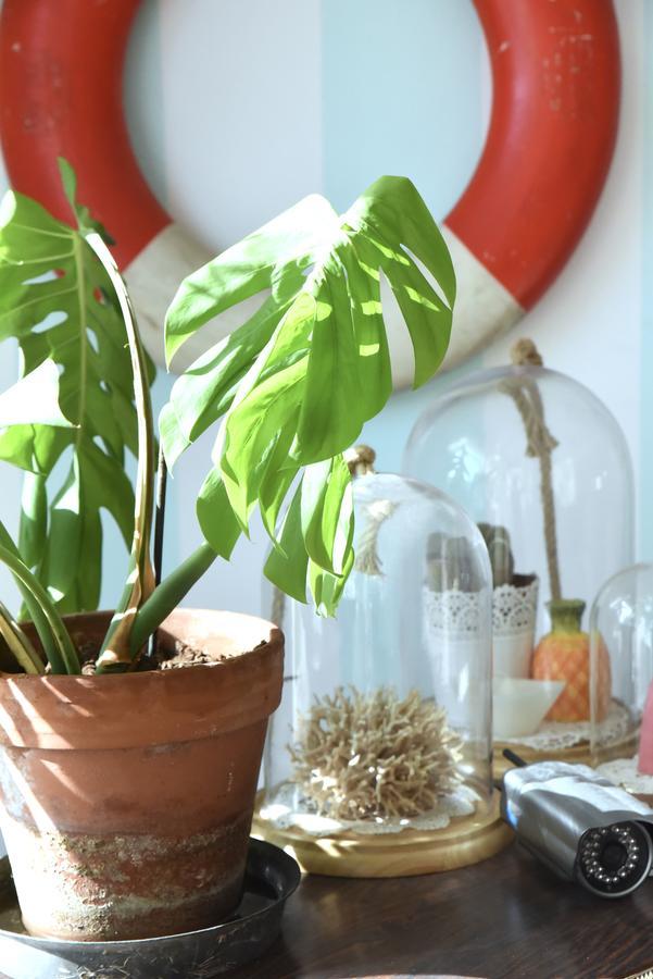 B&B Il Tentacolo Ventimiglia Ngoại thất bức ảnh